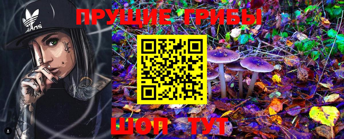 Большой Камень  закладка  Псилоцибиновые грибы MAGIC MUSHROOMS  Вход с VPN  Псилоцибиновые грибы прущие грибы 