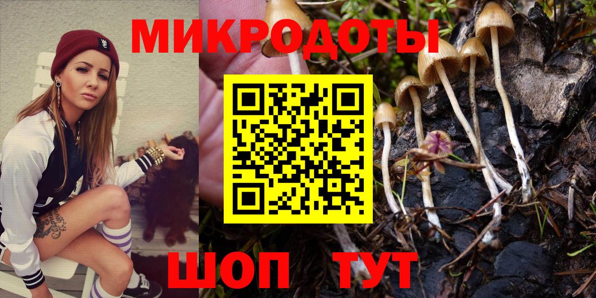 Псилоцибиновые грибы мухоморы Большой Камень