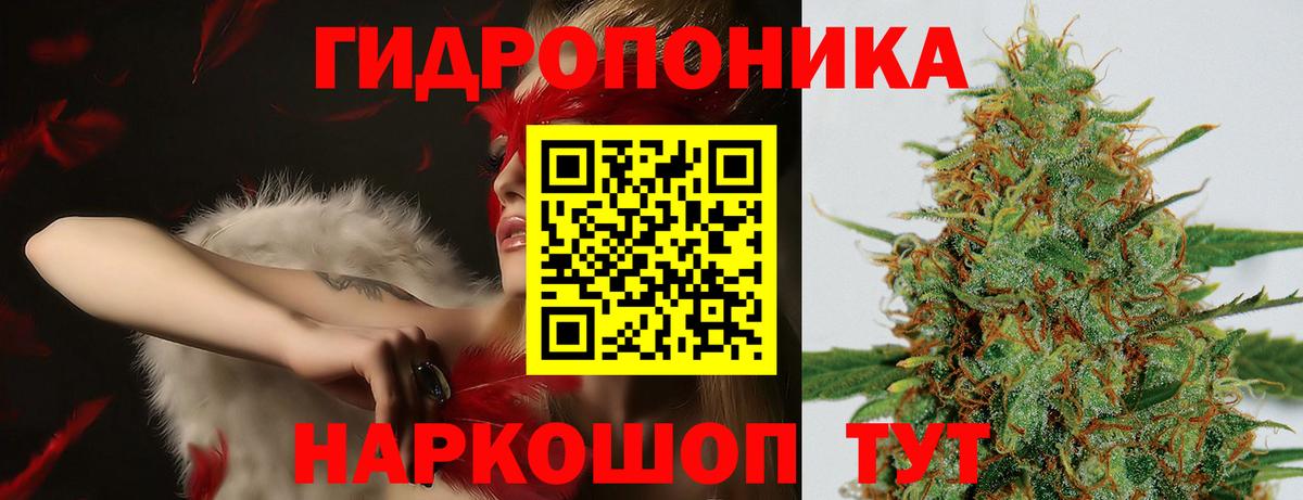 МАРИХУАНА OG Kush Большой Камень